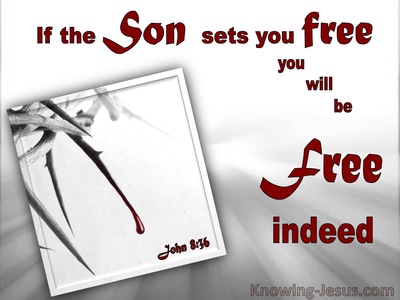 John 8:36 If The Son Sets You Free You Are Free Indeed (gray)